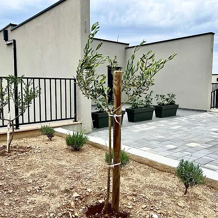 Noero - With Seaview